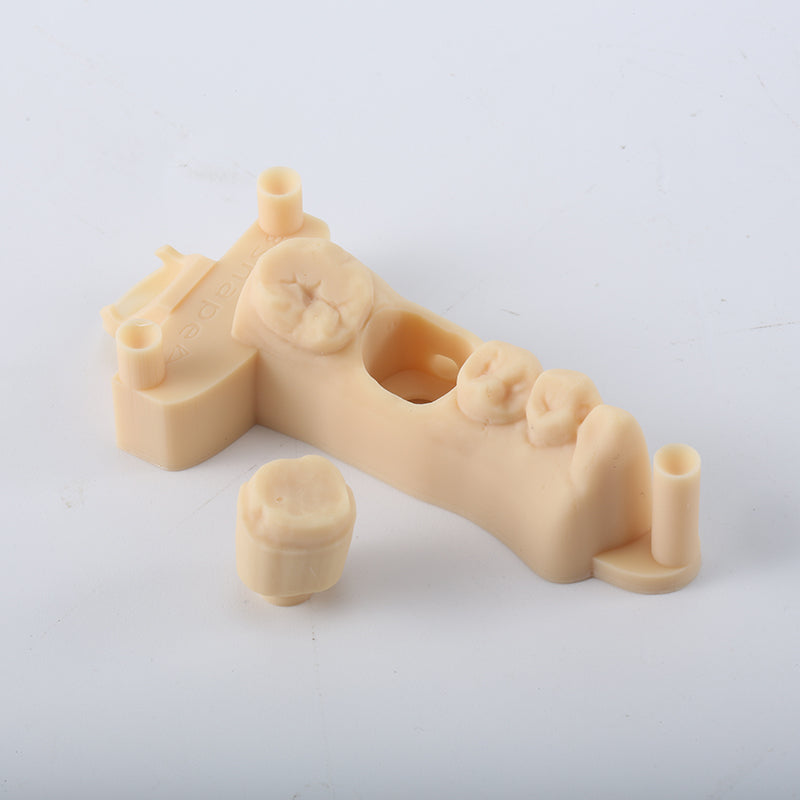 D01S Dental Model Low Shrinkage 3D Printer Resin (1kg) – RESIONE