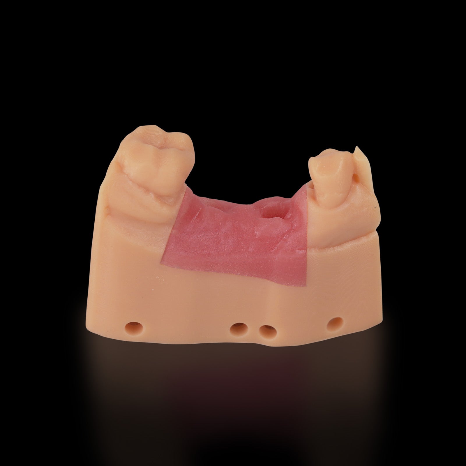 FUNTODO DENTIFIX-3D HR 1L SABLE (modèle dentaire) –